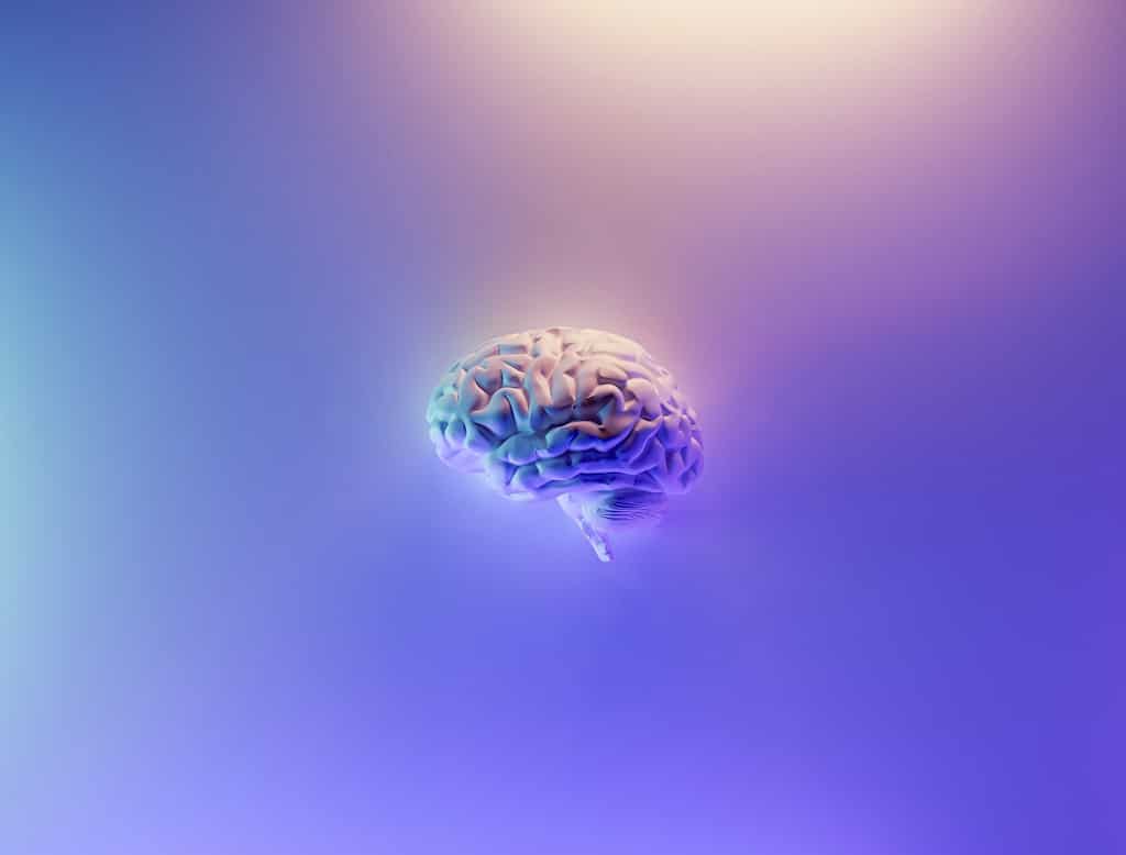 Le cerveau de l'enfant et son développement par les petits pois